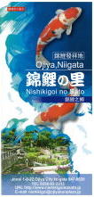 小千谷市 錦鯉の里 つちかわれた伝統と地場産業を明日へ伝える総合産業会館サンプラザ