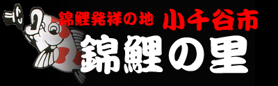 小千谷市 錦鯉の里 つちかわれた伝統と地場産業を明日へ伝える総合産業会館サンプラザ