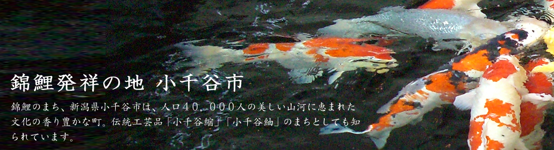 小千谷市 錦鯉の里 つちかわれた伝統と地場産業を明日へ伝える総合産業会館サンプラザ